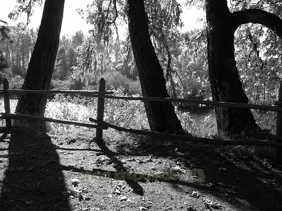 Nature174IMG_4497