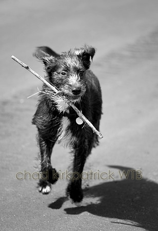 IMG_6122_2
