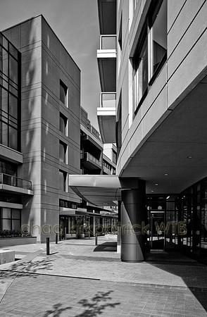 IMG_7366_3