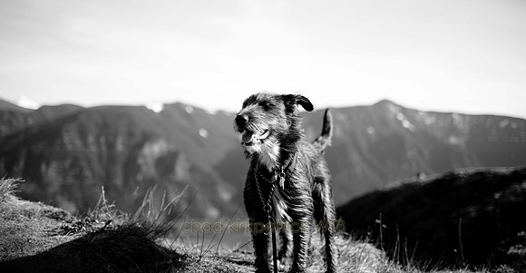 IMG_2633_2