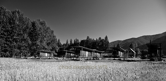 IMG_0357_3*