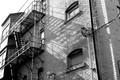IMG_7588_2