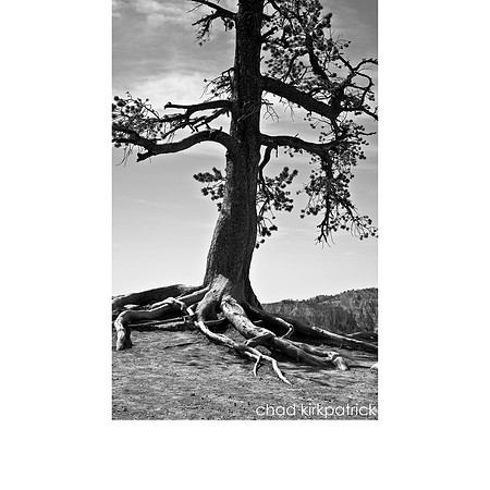 IMG_1097_4_noframe