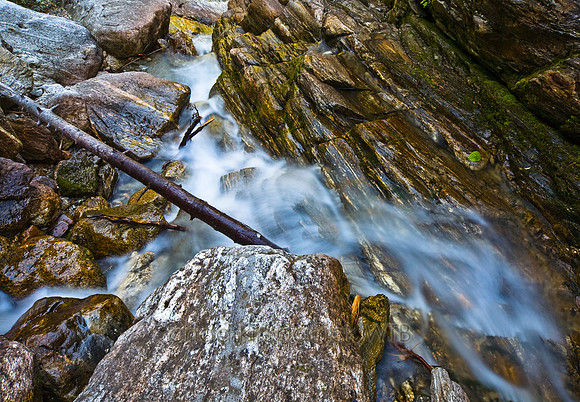 IMG_9245_4