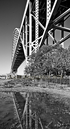 IMG_6910_9