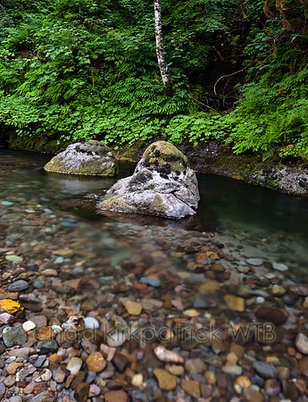 IMG_1517_3.jpg