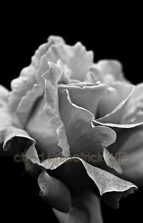IMG_9486_3