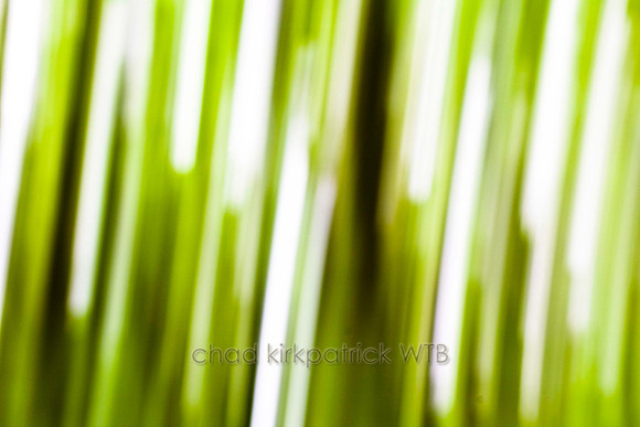 IMG_3154