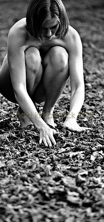 IMG_0329_5