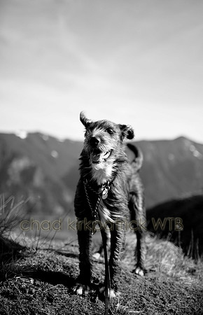 IMG_2634_5