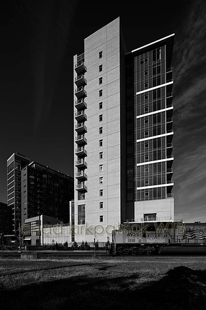 IMG_9082_5.jpg