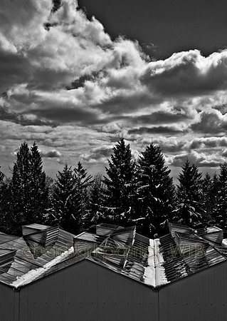 IMG_6515_5
