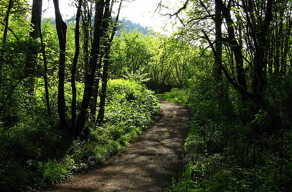 Nature175WTB_014