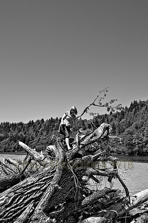 IMG_8503_6