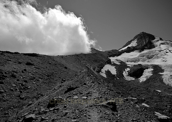 IMG_0094_6