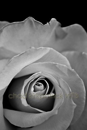 IMG_9459_4