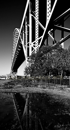 IMG_6910_7