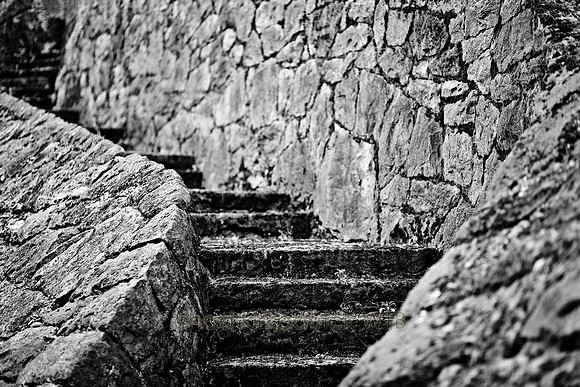 IMG_8953_2
