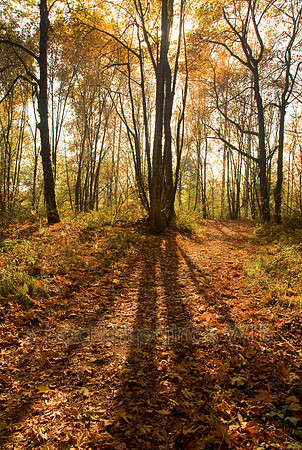 Nature101IMG_4784