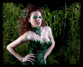20110305-IMG_7190-Edit