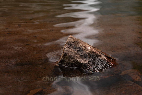 Nature156IMG_6223