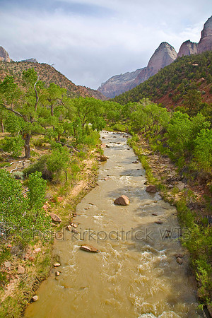 IMG_1402_1