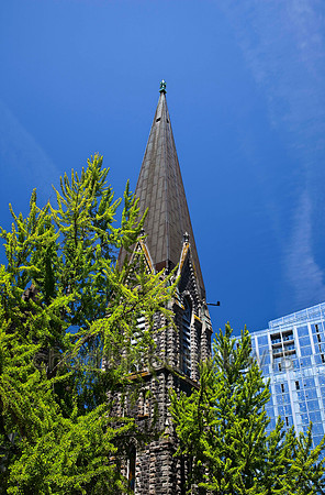 IMG_8919_1