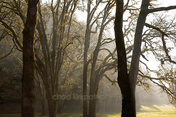 Nature098IMG_7892_1