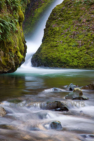 Nature001IMG_6681