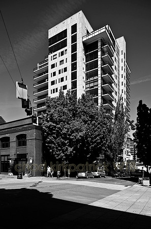 IMG_7920_4