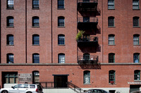 IMG_1191.jpg