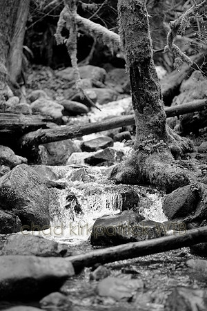 IMG_4195_2.jpg