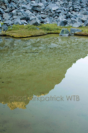 Nature131IMG_6705