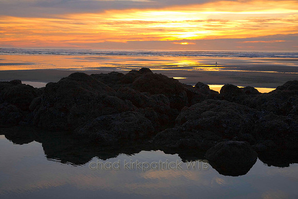 Nature077IMG_8908