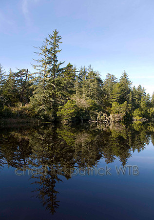 Nature047IMG_3137