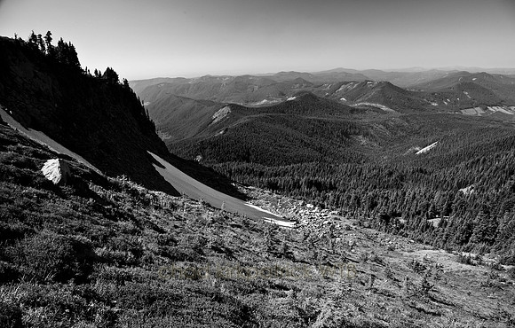 IMG_7499_2