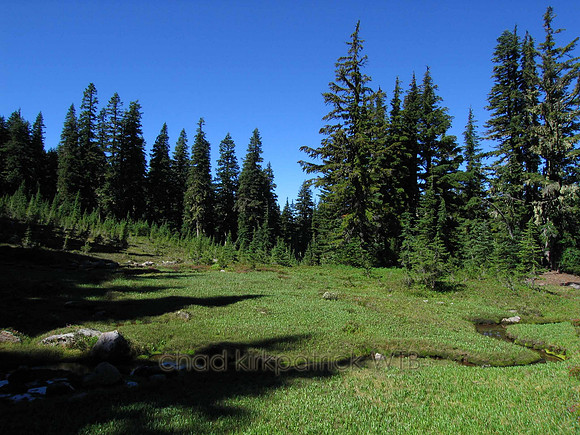 Nature261WTB_187