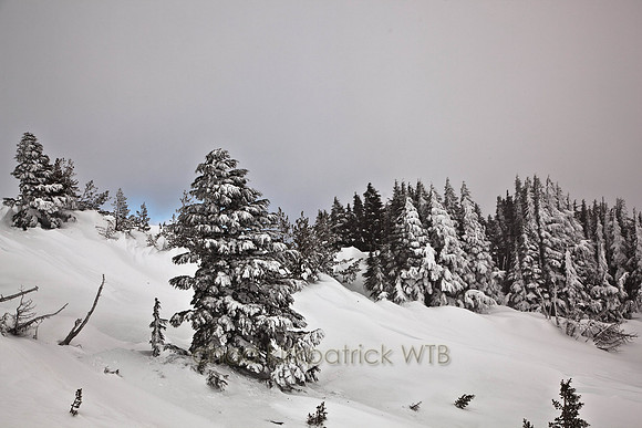20110221-IMG_6790-2