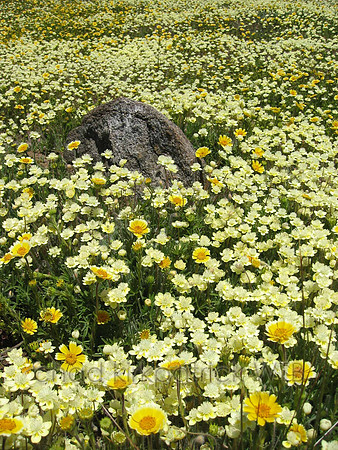Nature295WTB_237