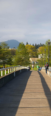 IMG_8801_1