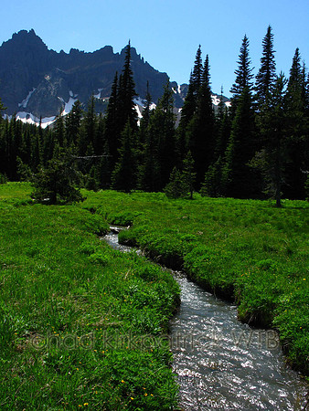 Nature199IMG_0155