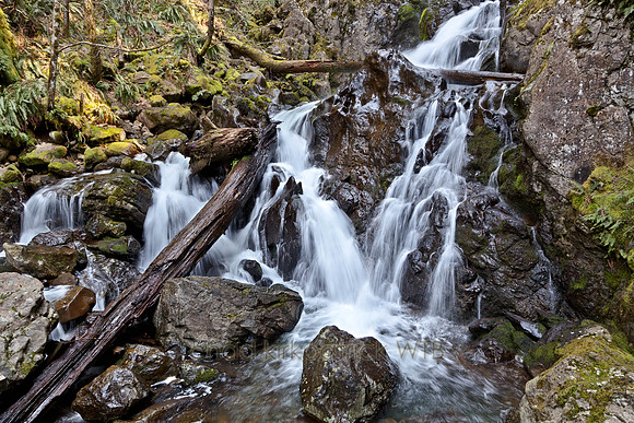20110423-IMG_8885