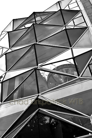 IMG_4241_1