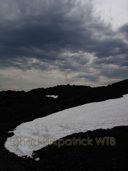 Nature218WTB_110