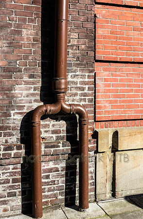 20120308-IMG_0207-2