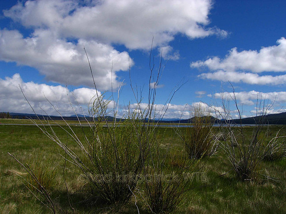 Nature225WTB_122