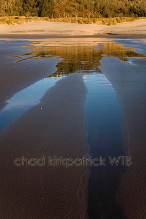 Nature079IMG_8771