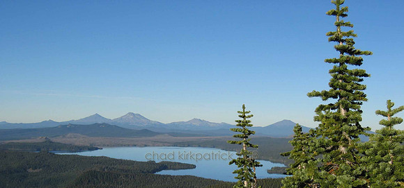 Nature278WTB_211