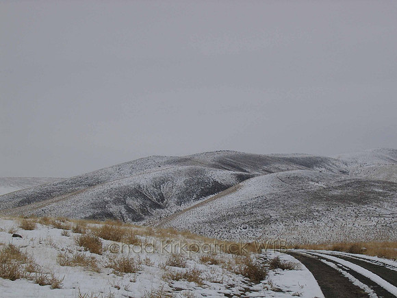 Nature241WTB_155
