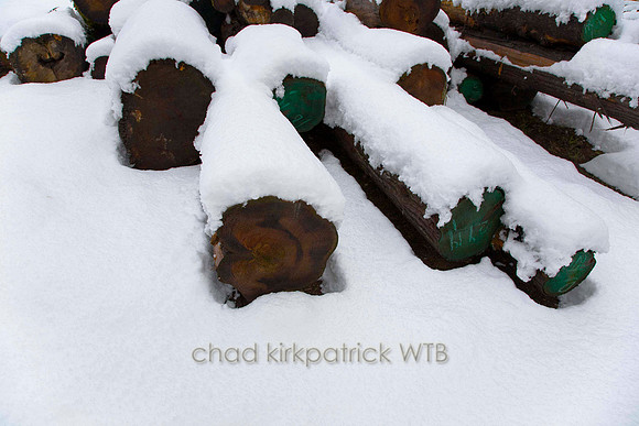 Nature025IMG_4205